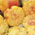 Pineapple Tomato Seeds - 120+ Heirloom Organic Non-GMO Rare Seeds - Solanum lycopersicum