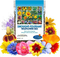 Drought Resistant Wildflower Seeds - 1oz Bulk Multi-Color Open-Pollinated Mix - Ideal for Gardens and Landscaping