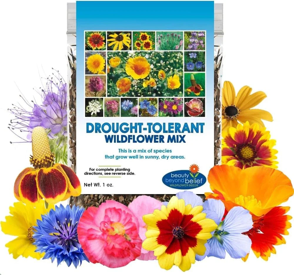 Drought Resistant Wildflower Seeds - 1oz Bulk Multi-Color Open-Pollinated Mix - Ideal for Gardens and Landscaping