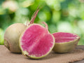 Watermelon Radish Seeds - 300+ Count - Raphanus sativus - Organic Vegetable Seeds for Home Gardening