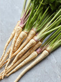 Hollow Crown Parsnip Seeds - 200+ Non-GMO Heirloom Organic Seeds for Home Gardening - Pastinaca sativa