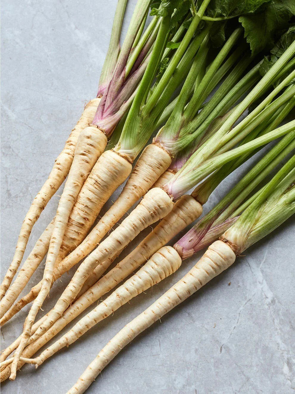 Hollow Crown Parsnip Seeds - 200+ Non-GMO Heirloom Organic Seeds for Home Gardening - Pastinaca sativa