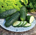Double Yield Cucumber Seeds - Organic Heirloom - Non-GMO - 100+ Pack - Cucumis sativus