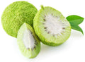 Osage Orange Tree Seeds - 20 Pack - Exotic Fruit Tree Seeds - Maclura pomifera