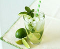 Mojito Mint Seeds - 1000 Rare Medicinal Herb Seeds for Aromatic Gardening - Mentha × villosa