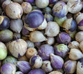 Purple Tomatillo Seeds - 50+ Count - Garden Vegetable for Salsa - Physalis ixocarpa - Mexican Culinary Use