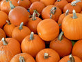 Sugar Pumpkin Seeds - Organic Heirloom Variety for Summer Vegetable Garden (Cucurbita pepo) - 30+ Seeds