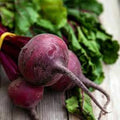 Detroit Dark Red Beet Seeds - 250 Non-GMO Seeds for Organic Gardening - Beta vulgaris