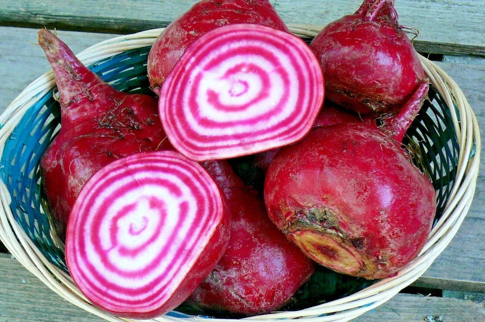 Chioggia Beet Seeds - Italian Heirloom Variety for Vegetable Garden or Patio - Easy to Grow, 100+ Seeds