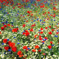 Wildflower Seed Mix - 200 Seeds - Red, White, and Blue - Native American Varieties