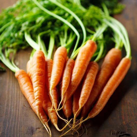Imperator Carrot Seeds - 2000 Heirloom NON-GMO Vegetable Seeds - Daucus carota