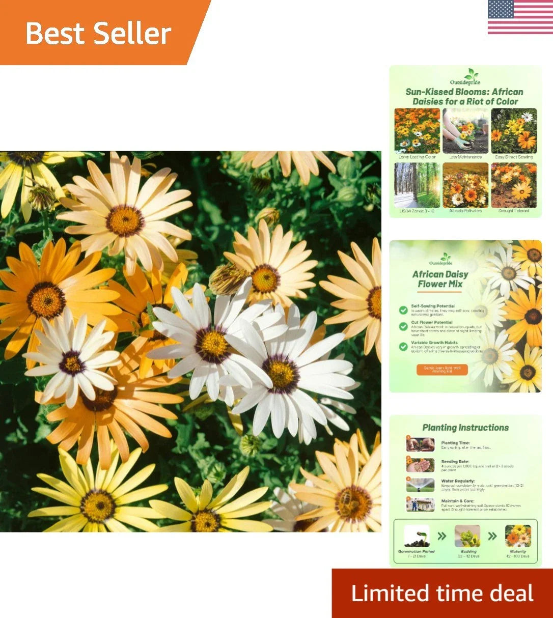 Heirloom African Daisy Seeds - 1/4 lb - Easy-to-Grow Annuals for Borders - Dimorphotheca spp.