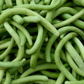 Dark Armenian Cucumber Seeds - 50+ Long Snake Serpent Vegetable - Cucumis melo - USA, Free Shipping