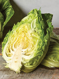 Early Jersey Wakefield Cabbage Seeds - 250+ Heirloom Non-GMO Organic Seeds - Brassica oleracea