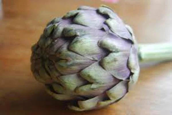 Artichoke Seeds - 50 Heirloom Green Globe Non-GMO Seeds - Cynara cardunculus