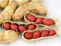 Tennessee Red Peanut Seeds - 20 Seeds Packet (10 Shells) - Non-GMO Variety, Arachis hypogaea