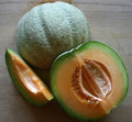 Fresh Sweet Italian Tuscany Melon Seeds - 20 Premium Seeds - Heirloom Variety - Cucumis melo