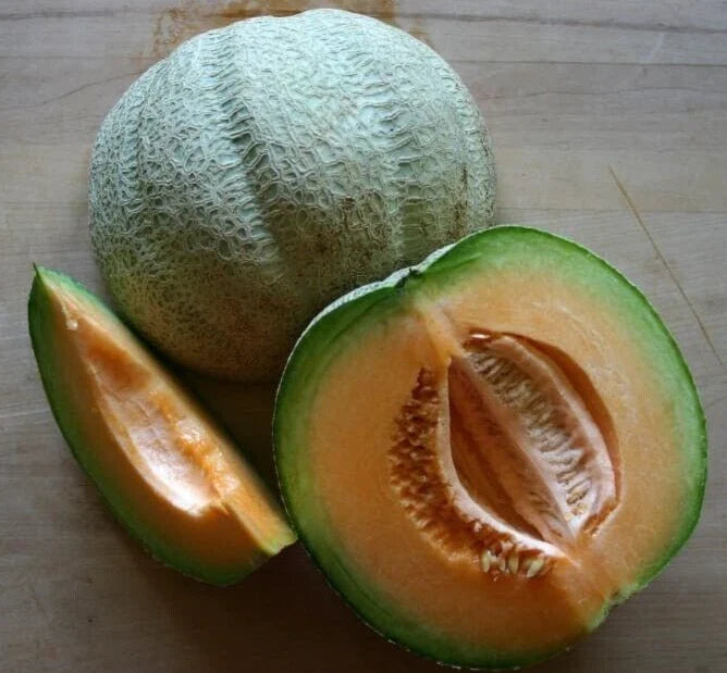 Fresh Sweet Italian Tuscany Melon Seeds - 20 Premium Seeds - Heirloom Variety - Cucumis melo
