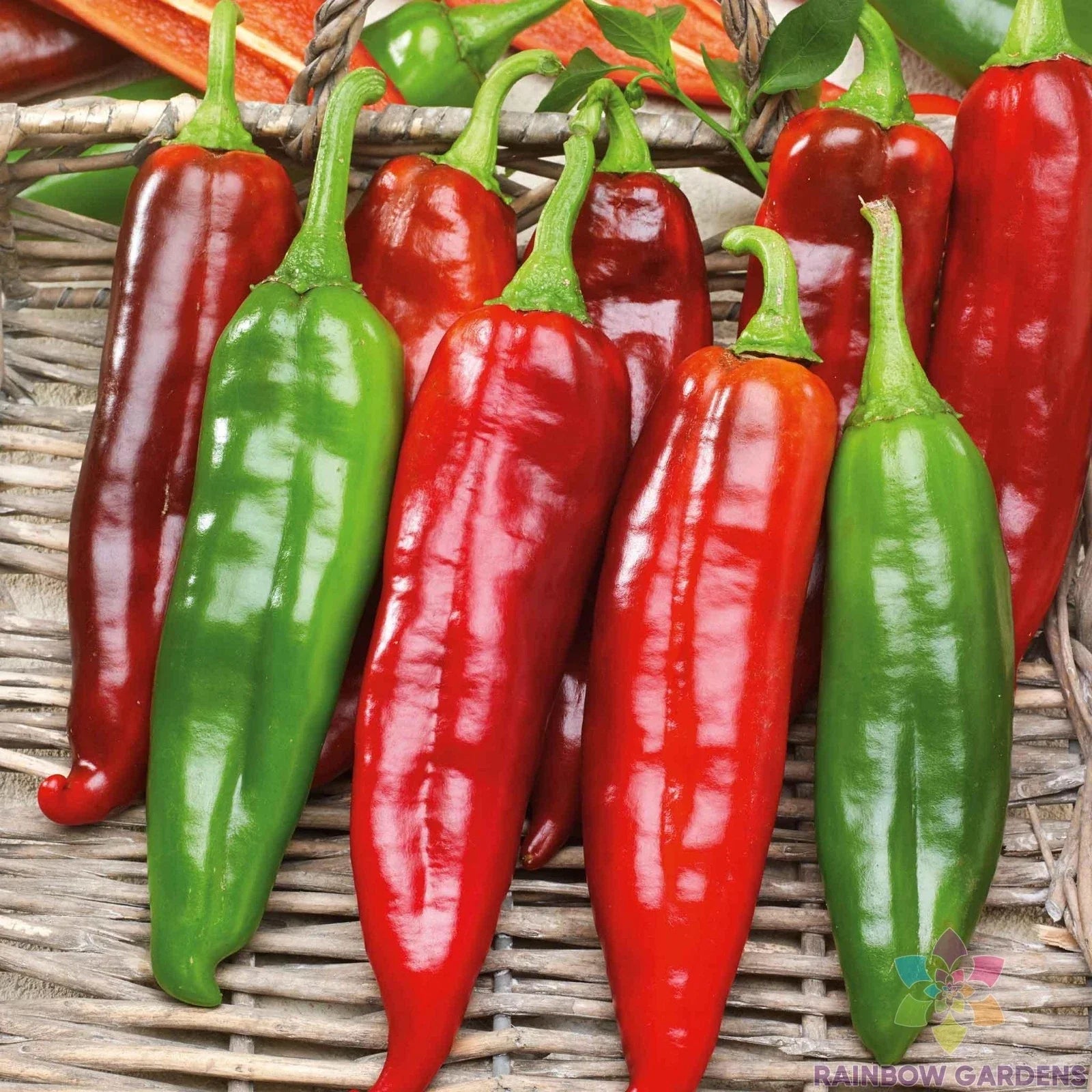 Big Jim Hot Pepper Seeds - 25+ Count - Ideal for Garden Planting - Capsicum annuum - USA Grown