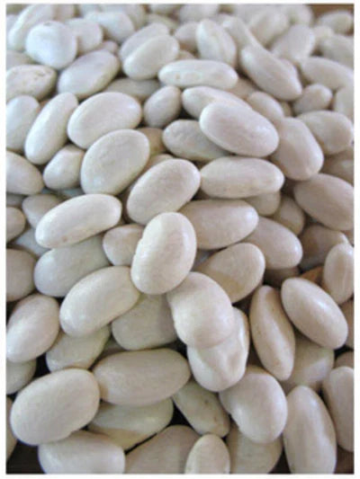 Navy Bean Seeds - Soup Beans - Fresh Seed - Phaseolus vulgaris - FREE Shipping