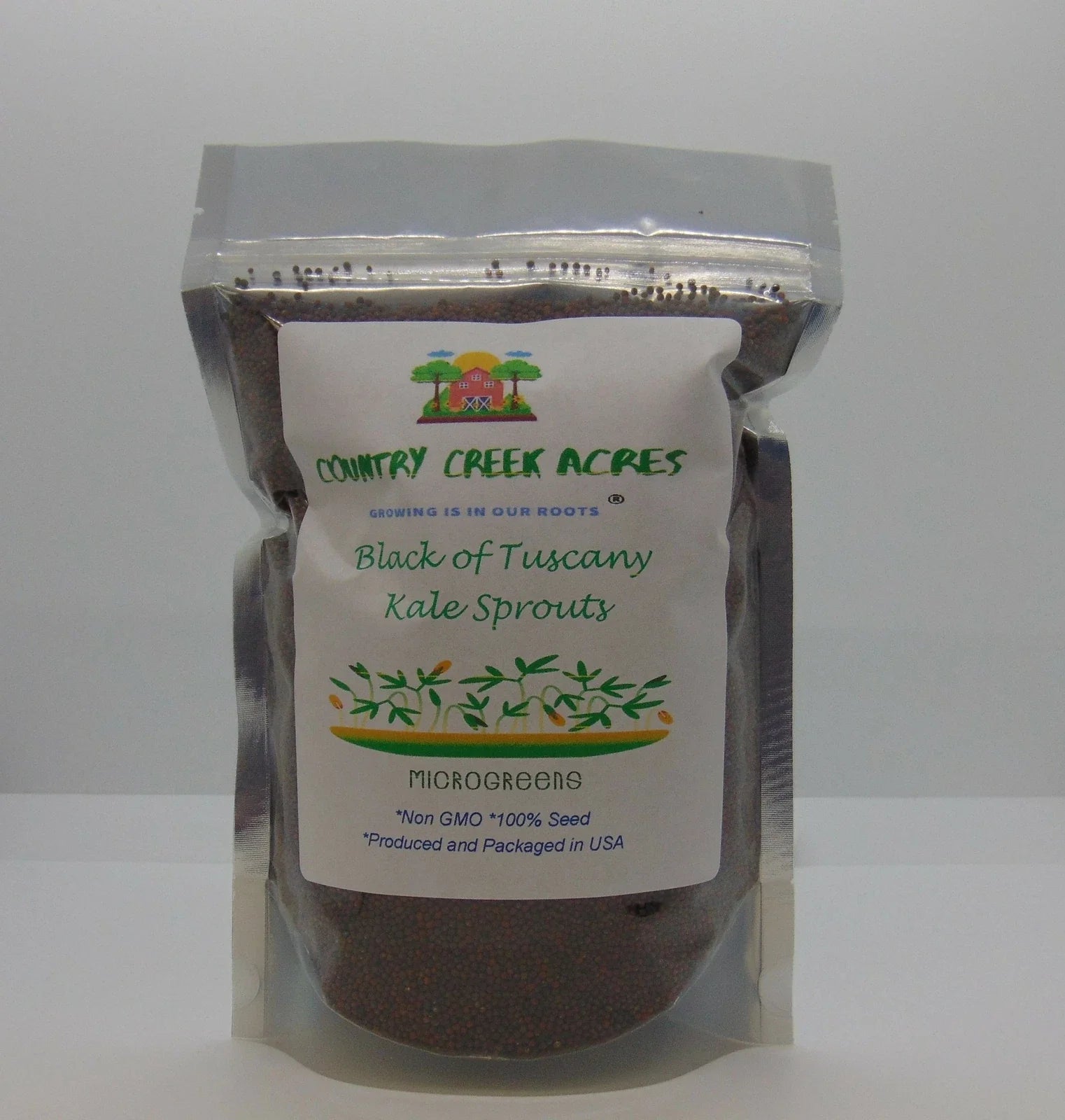 Black of Tuscany Kale Seeds - Heirloom Italian Variety - Brassica oleracea