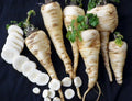 Harris Model Parsnip Seeds - 4000 Heirloom Seeds, Early Maturing, Hardy, Nutty Flavor, Perfect for Storage, Pastinaca sativa