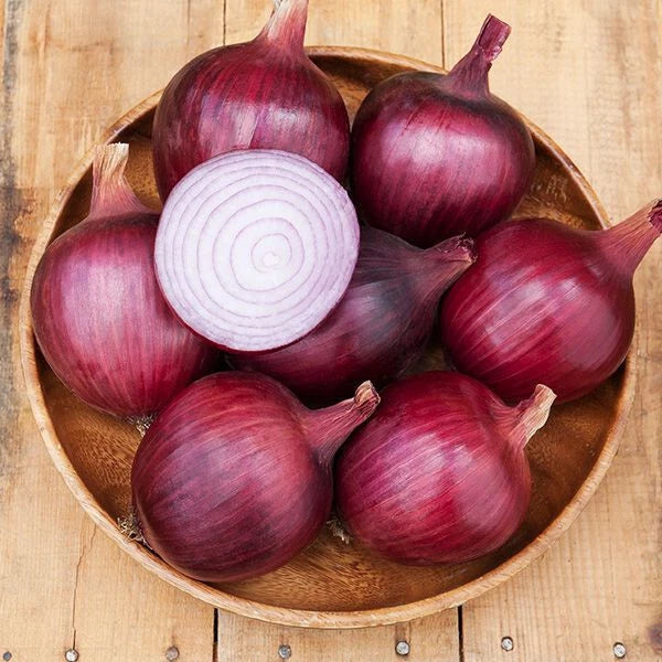 Redwing Onion Seeds - 500+ Count - Heirloom Variety - Allium ascalonicum - USA Grown, Free Shipping