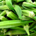 Emerald Okra Seeds | NON-GMO Heirloom Seeds | Fresh Garden Seeds | Abelmoschus esculentus
