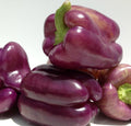 Sweet Lilac Bell Pepper Seeds - 30 Non-GMO Heirloom Seeds for Fresh Garden Planting - Capsicum annuum