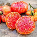 Heirloom Hillbilly Tomato Seeds - 30+ Organic Non-GMO - Rare Heirloom Variety - Perfect for Home Gardening