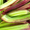 Hill Country Red Okra Seeds | NON-GMO Heirloom | Fresh Garden Seeds | Abelmoschus esculentus
