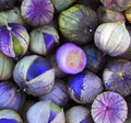 Purple Tomatillo Seeds | 100+ Seeds | Organic, Heirloom | Perfect for Salsa | Physalis ixocarpa | Made in USA