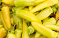 Yellow Hot Jalapeno Pepper Seeds, NON-GMO, Caloro Variety, Capsicum annuum, Free Shipping