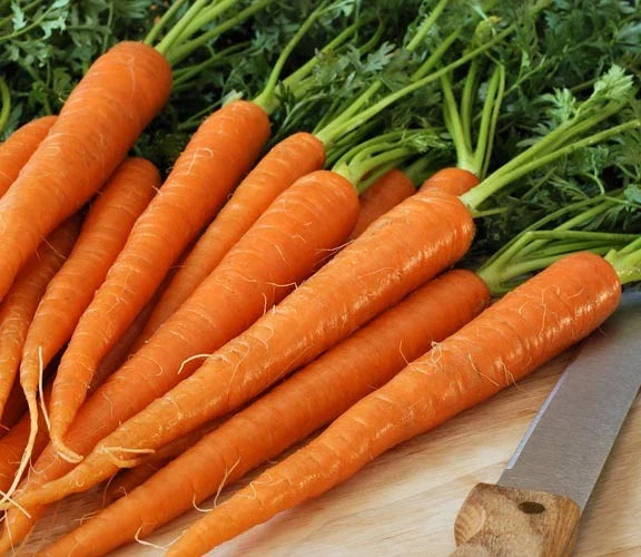 Tendersweet Carrot Seeds - 200 Count Packet - Juicing, Raw, Canning - Coreless (Daucus carota)