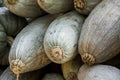 Guatemalan Blue Squash Seeds - 25+ Pack for Garden Planting - Cucurbita maxima - USA Grown, Free Shipping