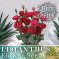 Lisianthus Seeds - Cherry Equinox Variety - Non-GMO Heirloom - 125 to 5000 Seeds - Eustoma grandiflorum