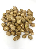 Organic White Sunchoke Tubers for Planting - Helianthus tuberosus - Non-GMO Jerusalem Artichoke, Easy to Grow, Perennial Vegetable