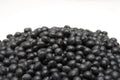 Black Soybean Seeds for Planting - Full Season Variety - Glycine max - Ideal for Sprouts or Garden Growth