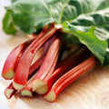 Victoria Red Rhubarb Seeds - 50 Perennial Seeds for Planting - Easy to Grow, Rheum rhabarbarum