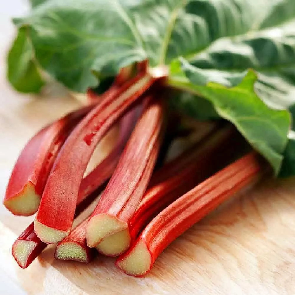 Victoria Red Rhubarb Seeds, 50 Pack, Perennial, Easy to Grow, Rheum rhabarbarum