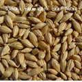 Organic Barley Seeds - Whole Grain 300+ Seeds, Non-GMO Cat Grass Starter Pack, Perfect for Indoor Felines
