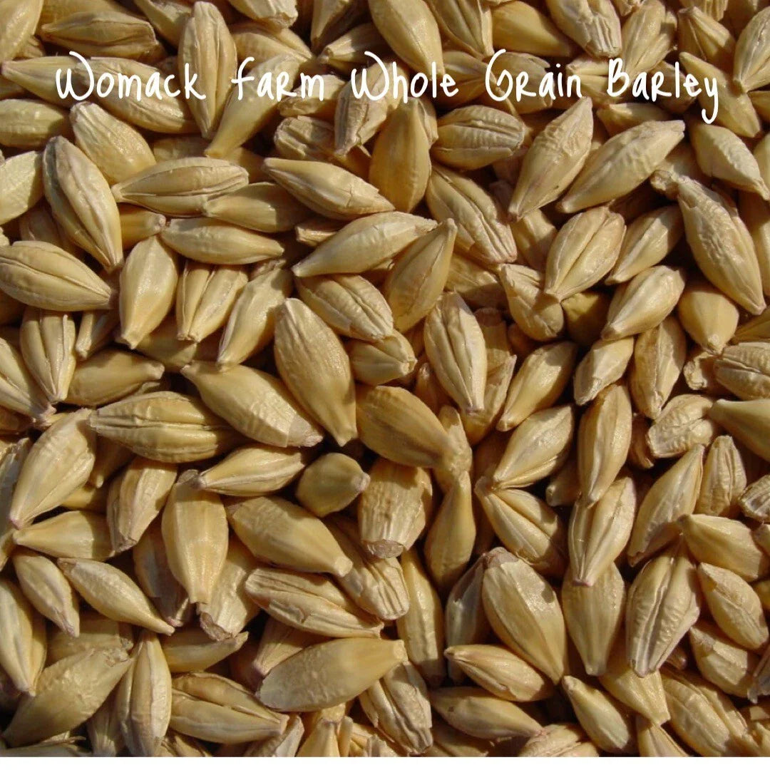 Organic Barley Seeds - Whole Grain 300+ Seeds, Non-GMO Cat Grass Starter Pack, Perfect for Indoor Felines