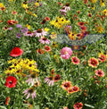 Wildflower Seed Mix - 200+ Heirloom Flower Seeds - Non-GMO - Native Midwestern Varieties - USA Grown