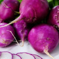 Mixed Radish Seeds - 200+ Seeds - Womack Farm Gourmet Radish Blend - Raphanus sativus