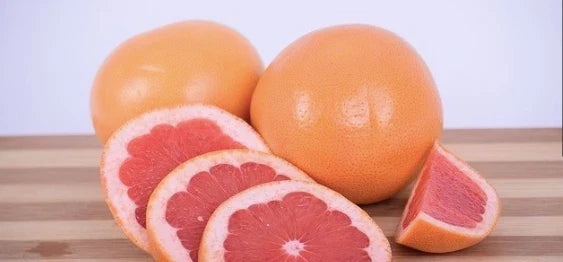 Pink Grapefruit Tree Cuttings - 4 Pack - Citrus × paradisi - Ideal for Home Gardening and Indoor Planting