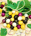 Halloween Mix Radish Seeds - 100+ Non-GMO Seeds - Colorful Variety for Fall Planting - Raphanus sativus