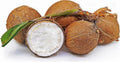 Sprouted Coconut Fruit - Fresh Costa Rican Coconut, Organic, Certified, Tropical Flavor, Cocos nucifera