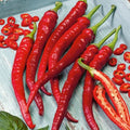 Cayenne Hot Pepper Seeds - 200+ Heirloom Organic Non-GMO - Long Slim Variety - Capsicum annuum