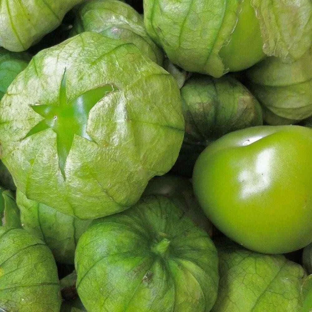 Grande Rio Verde Tomatillo Seeds 50 Ct Heirloom Non-GMO Vegetable Seeds - Perfect for Home Gardening, USA Grown