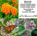 Perennial Milkweed Seeds Mix for Monarch Butterflies - Non-GMO Orange Variety - 100 Seeds - Asclepias spp.
